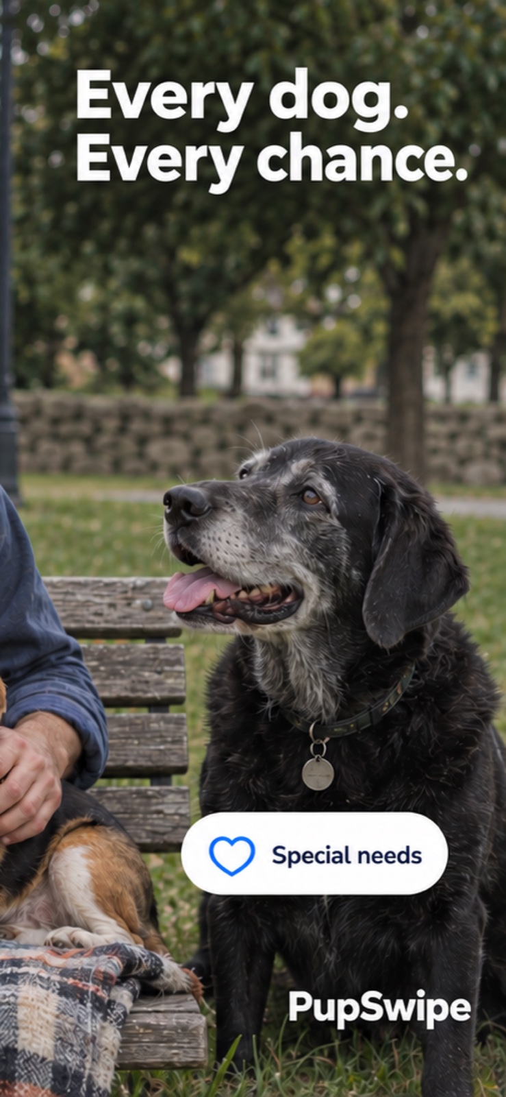 Every dog. Every chance: a senior rescue dog
